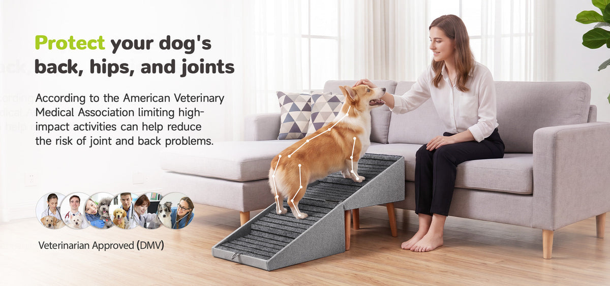 Ziluce Dog Ramp Stairs