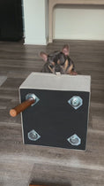 Load and play video in Gallery viewer, Ziluce 17’’ Dog Ramp Stairs – Comfort & Joint Care

